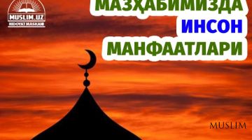 Mazhabimizda inson manfaatlari