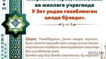 Такаббурлик ҳақида (инфографика)
