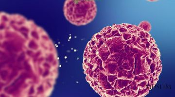 ДУМК: Донорство стволовых клеток разрешено при соблюдении условий 