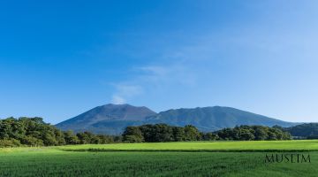 Ekologiya – omonat