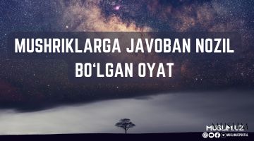 Мушрикларга жавобан нозил бўлган оят