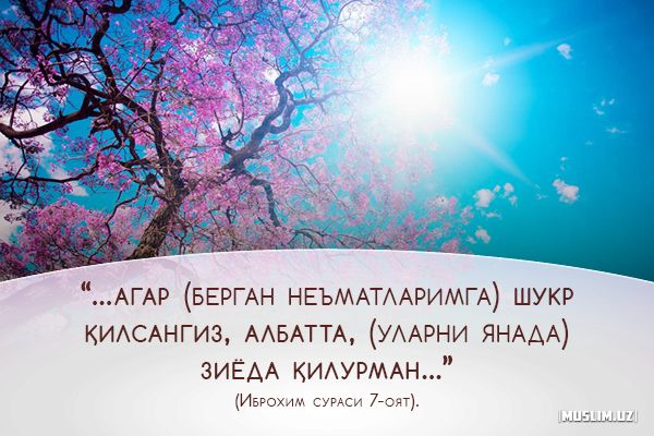 Мустақиллик – буюк  ва  бебаҳо  неъмат