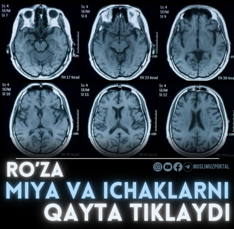 Рўза мия ва ичакларни қайта тиклайди