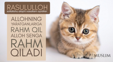 Ҳайвонларга озор - дўзахга йўл