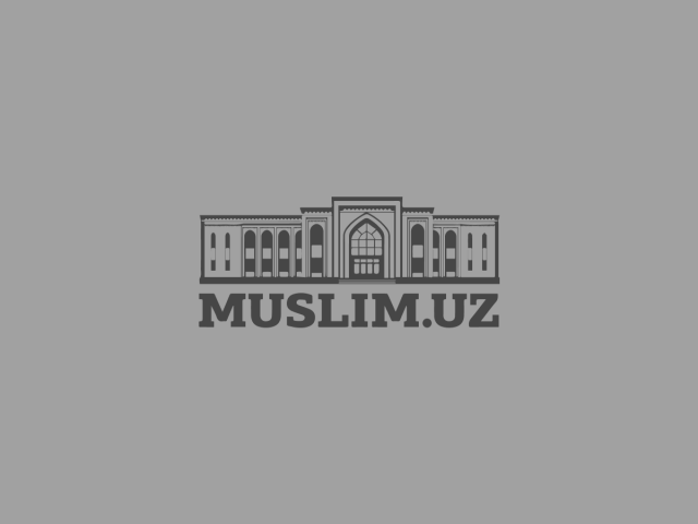 #logo