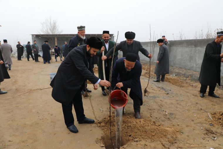 100 та оилага кирилиб, мевали кўчатлар экилди    