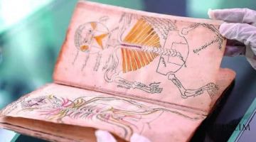 Мусулмонлар илм-фанда қанчалик илғор бўлганини кўрсатувчи қўлёзма